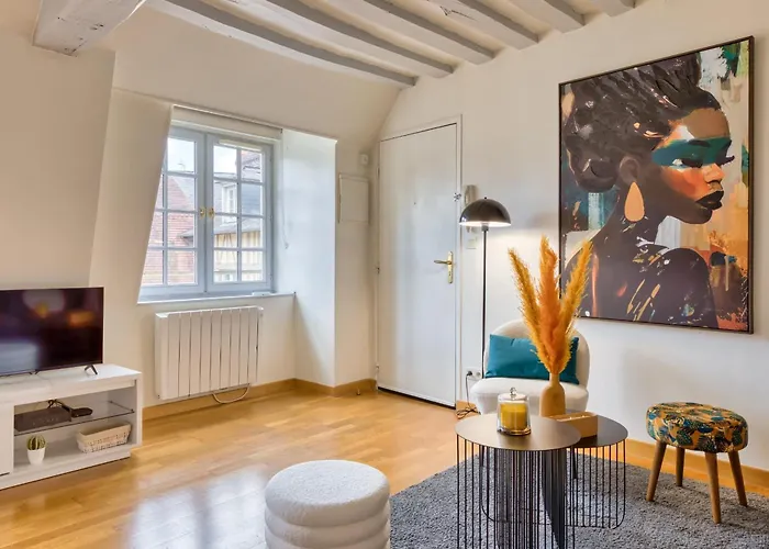 Bienvenue Au Solenne Votre Pied-a-terre De Charme Au Coeur De Appartement *